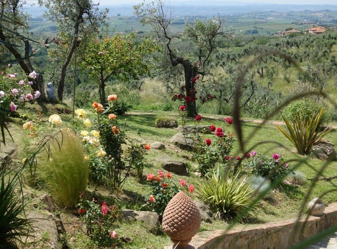 agriturismo Firenze olio e condimenti