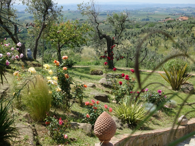 agriturismo Firenze olio e condimenti