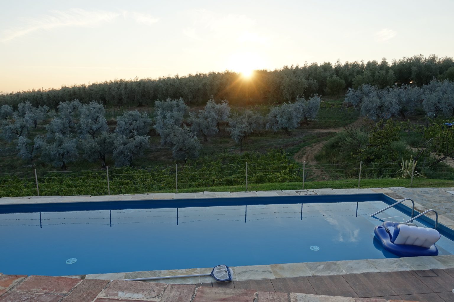agriturismo Firenze olio e condimenti