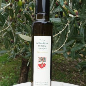 Olio Evo Bio ml. 250