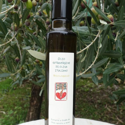Agriturismo Le Colline di Vinci — foto 5