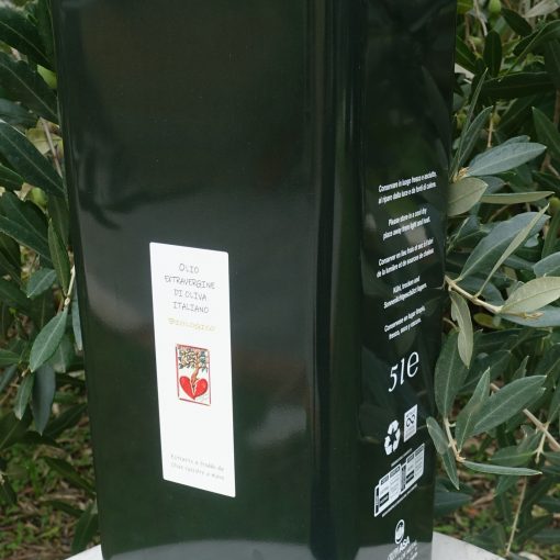 Agriturismo Le Colline di Vinci — foto 7
