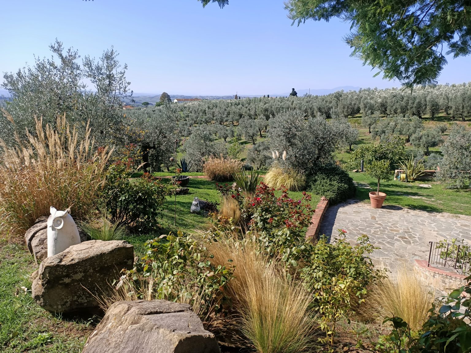 Esterno Agriturismo Le colline di Vinci