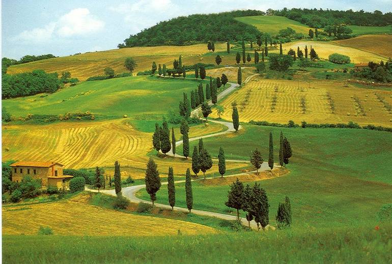 CAMPAGNA TOSCANA