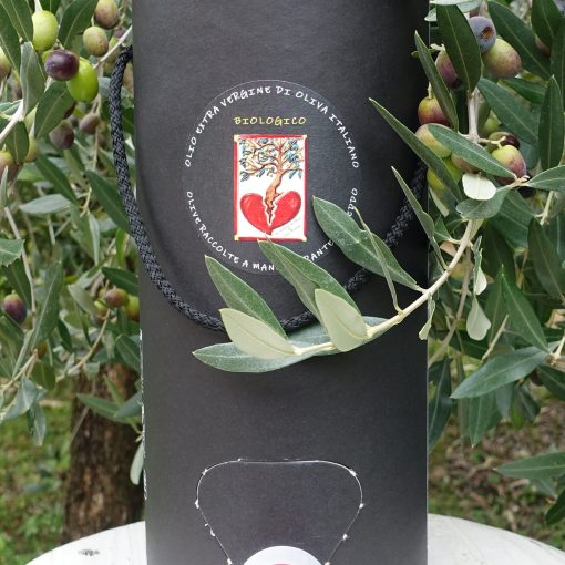 Agriturismo Le Colline di Vinci — foto 2